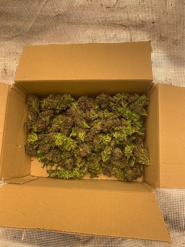 Growreport Bild 4