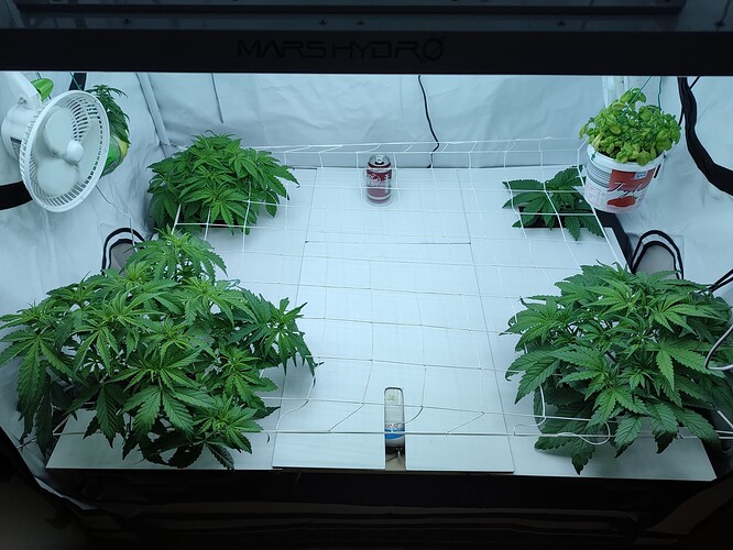 Growreport Bild 14