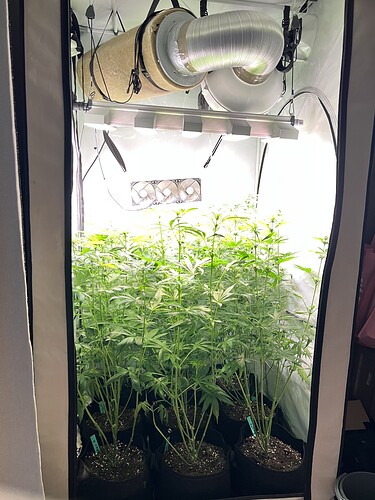 Growreport Bild 1