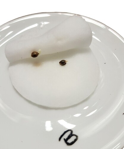 Screenshot_20231126_122108