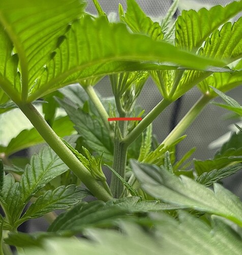 Growreport Bild 3