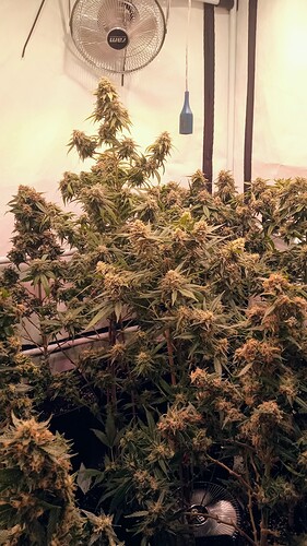 Growreport Bild 16