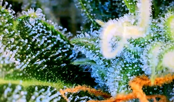 Screenshot_10