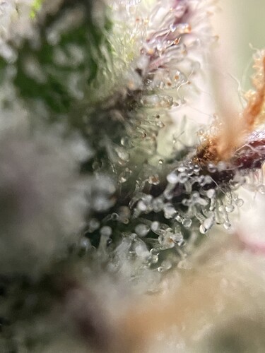 Growreport Bild 46