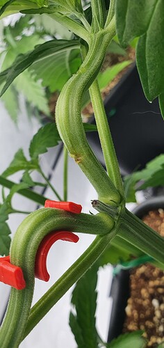 Growreport Bild 6