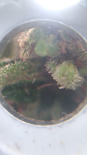 Growreport Bild 8