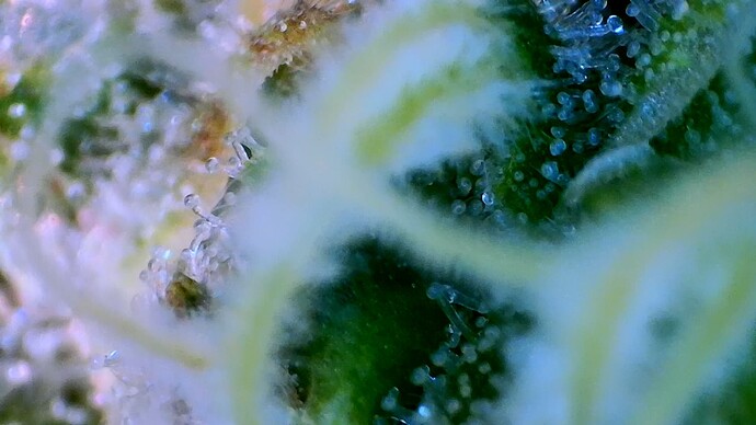 Growreport Bild 10