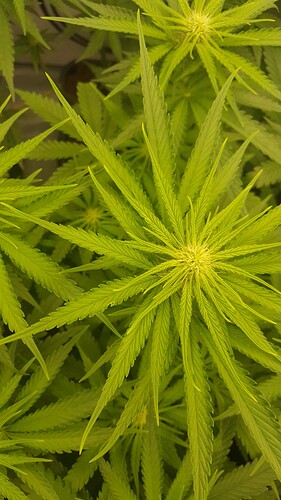 Growreport Bild 4