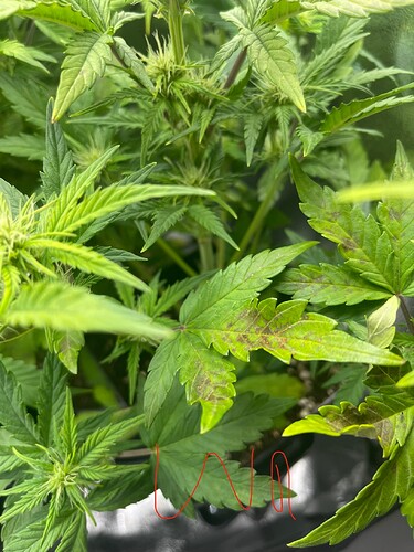 Growreport Bild 22