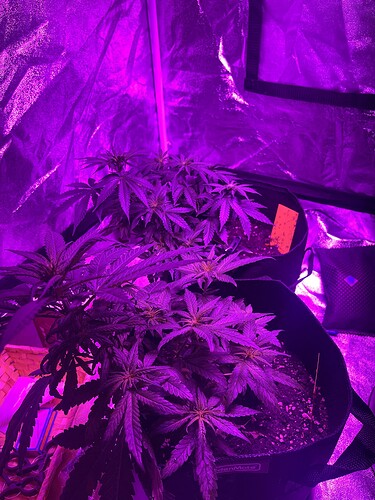 Growreport Bild 23