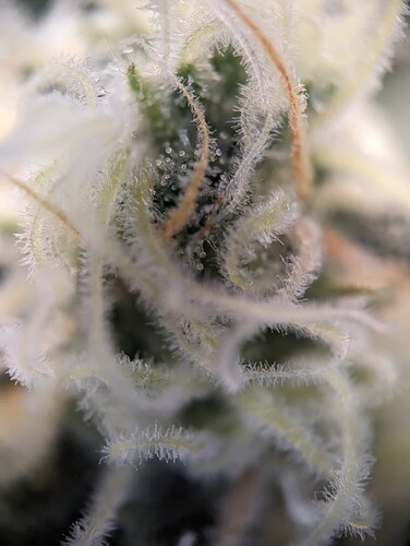Growreport Bild 14