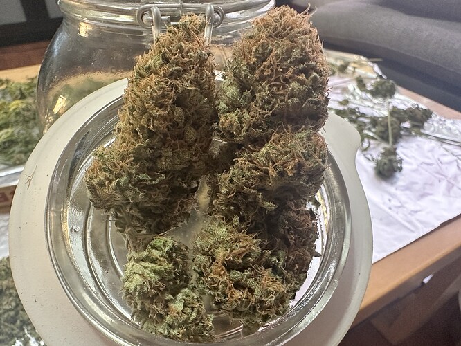Growreport Bild 1