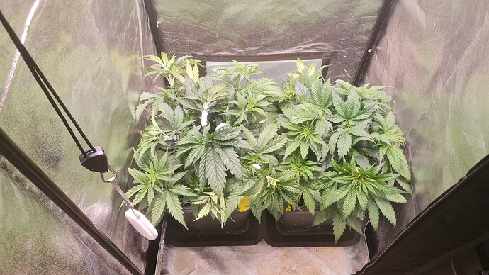 Growreport Bild 4