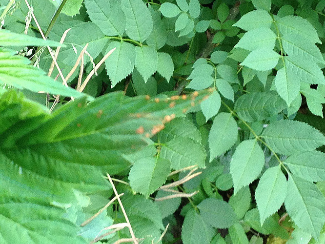 Growreport Bild 10