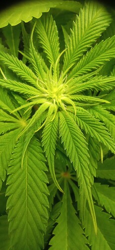 IMG_20240106_113913_1