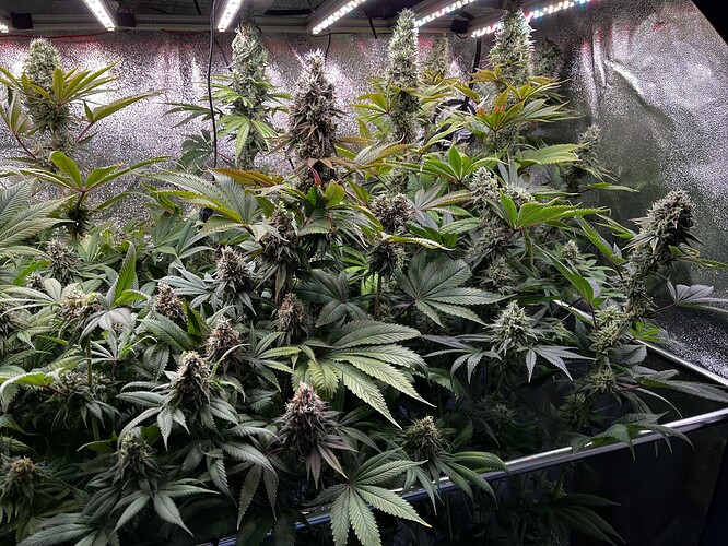 Growreport Bild 5