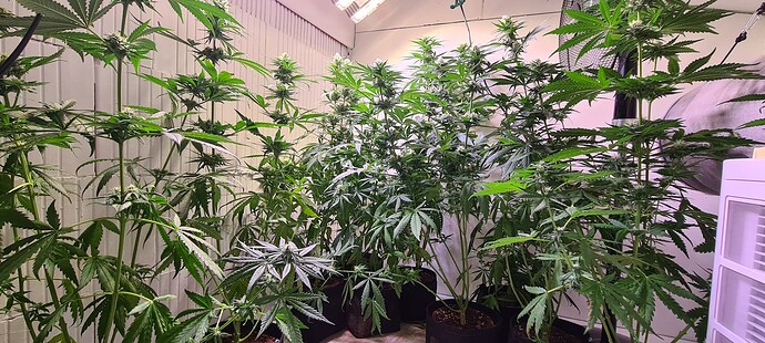 Growreport Bild 7