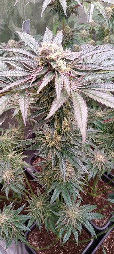 20220109_064401