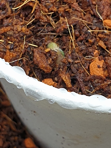Growreport Bild 4