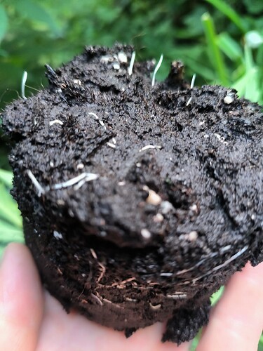 Growreport Bild 7