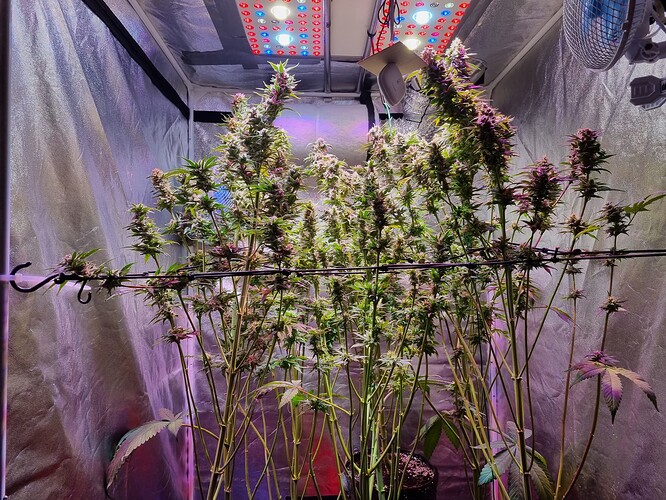 Growreport Bild 8