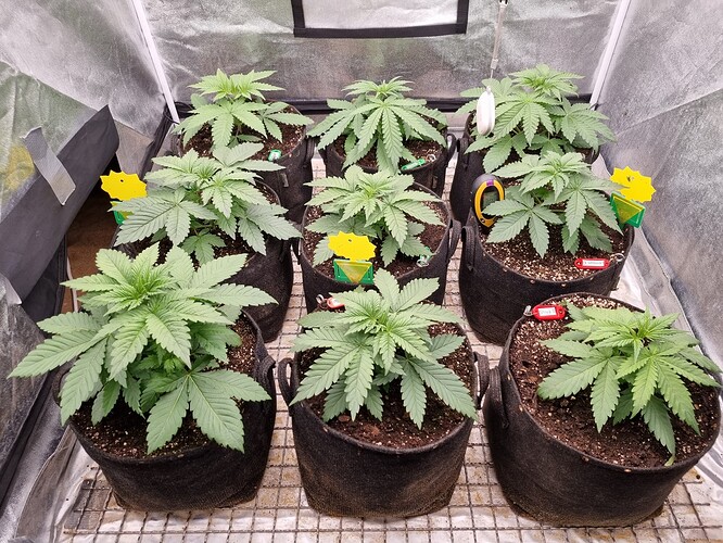 Growreport Bild 12