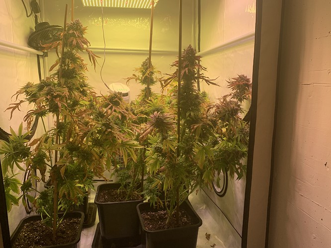 Growreport Bild 2