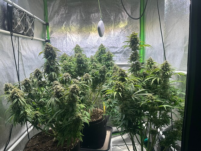 Growreport Bild 11