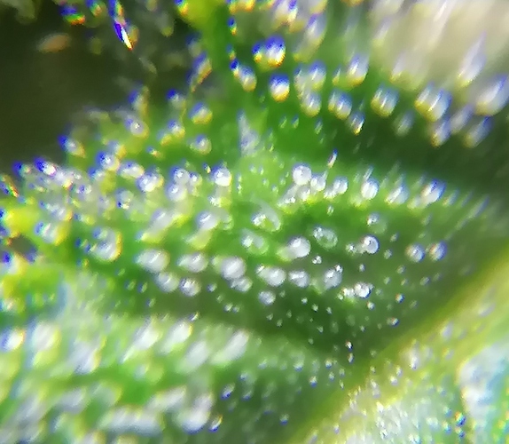 Growreport Bild 10