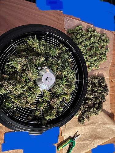 Growreport Bild 7