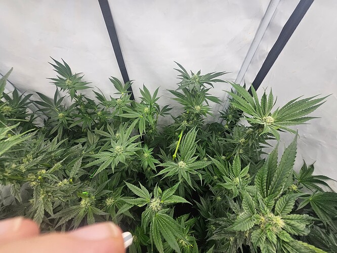 Growreport Bild 9