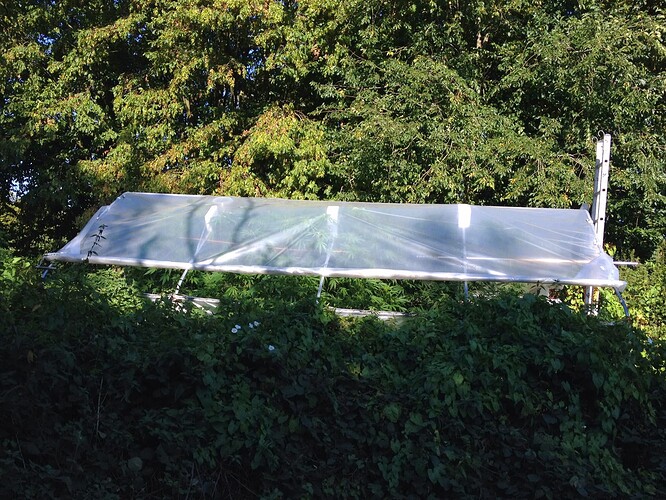 Growreport Bild 6