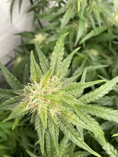 Growreport Bild 10