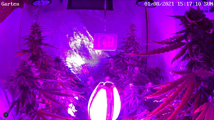 Growreport Bild 16