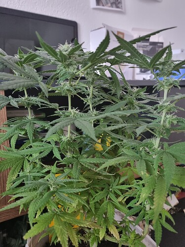 Growreport Bild 7