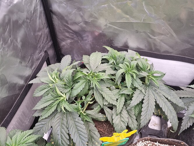 Growreport Bild 10