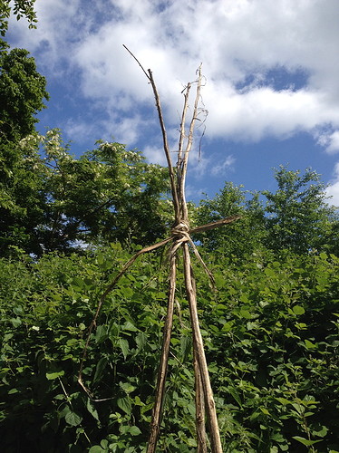 Growreport Bild 13