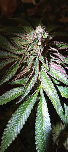 20220109_150441_HDR