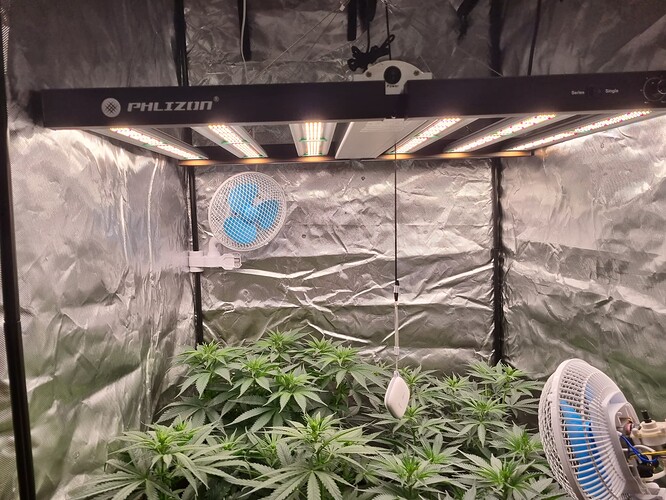 Growreport Bild 5