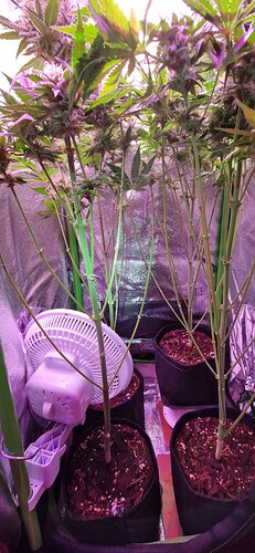 Growreport Bild 11