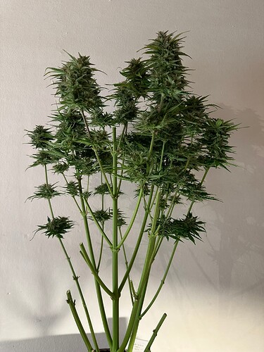 Growreport Bild 14