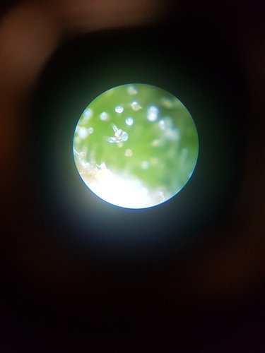 Growreport Bild 2