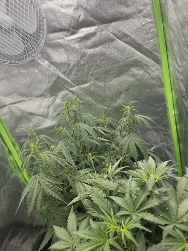 Growreport Bild 7