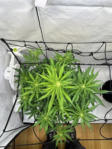 Growreport Bild 21