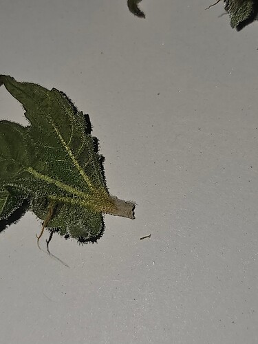 Growreport Bild 10