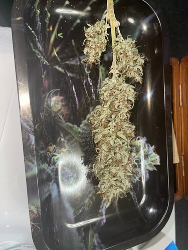 Growreport Bild 3