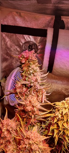Growreport Bild 10