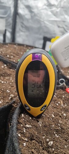 Growreport Bild 6