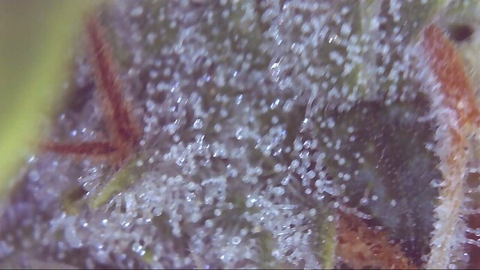 Growreport Bild 21