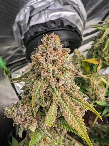 Growreport Bild 11